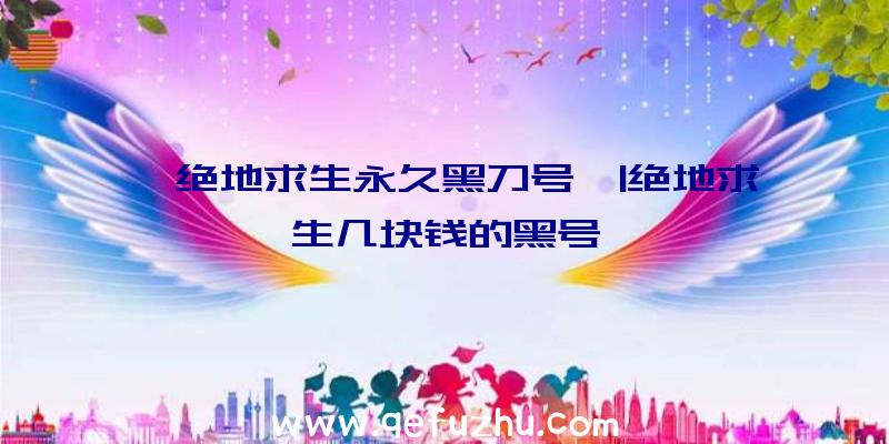 「绝地求生永久黑刀号」|绝地求生几块钱的黑号